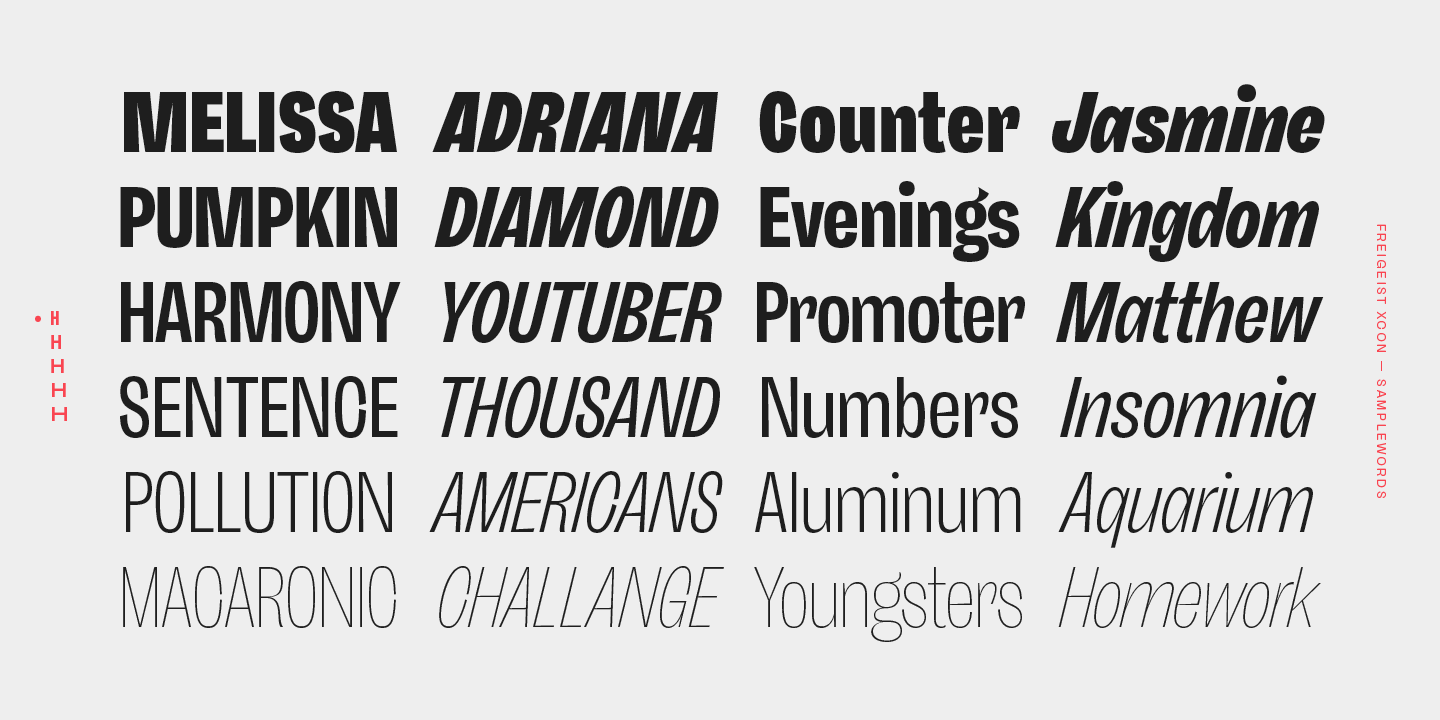 Freigeist XCon Thin Italic Font preview